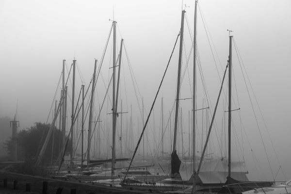 La conche à l'heure d'halloween – photo 9