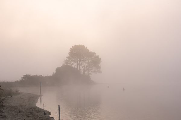 La conche à l'heure d'halloween – photo 3