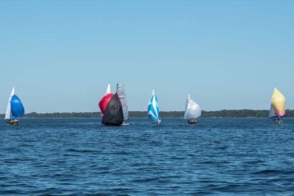 Coupe leclerc – photo 54