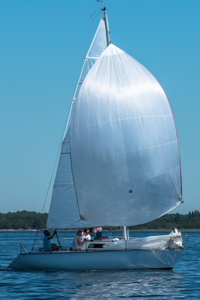 Coupe leclerc – photo 42