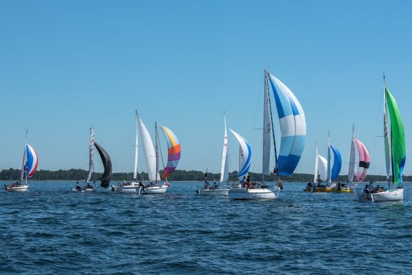 Coupe leclerc – photo 69