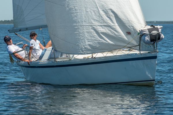 Coupe leclerc – photo 7