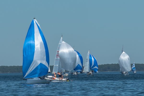 Coupe leclerc – photo 39