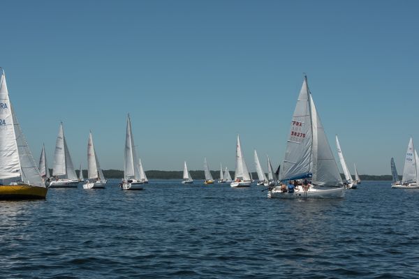 Coupe leclerc – photo 34