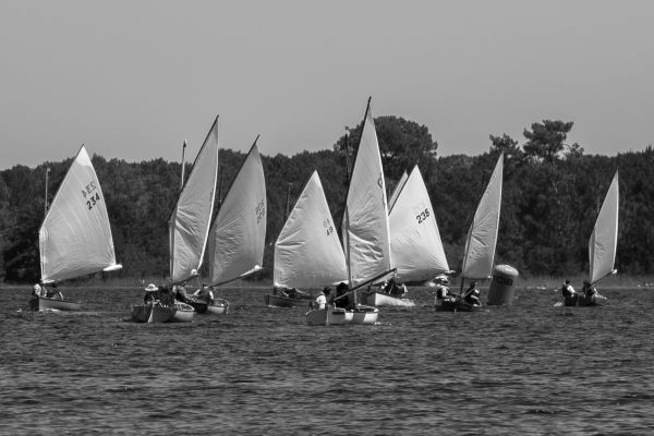 Les monotypes du bassin – photo 28