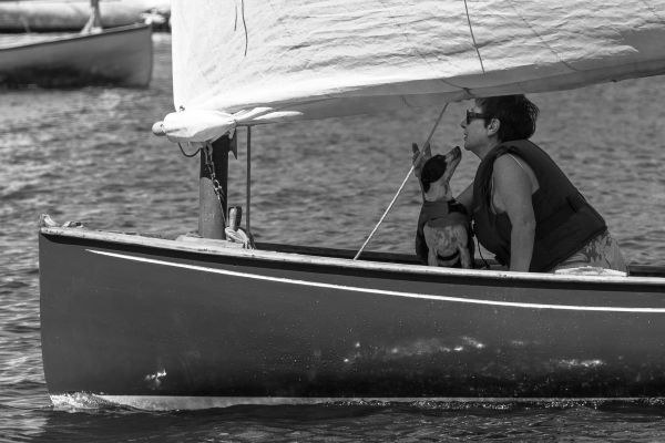 Les monotypes du bassin – photo 63