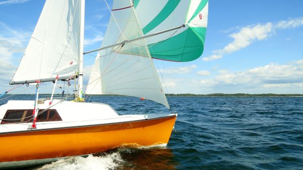 La solitaire - meltis – photo 177