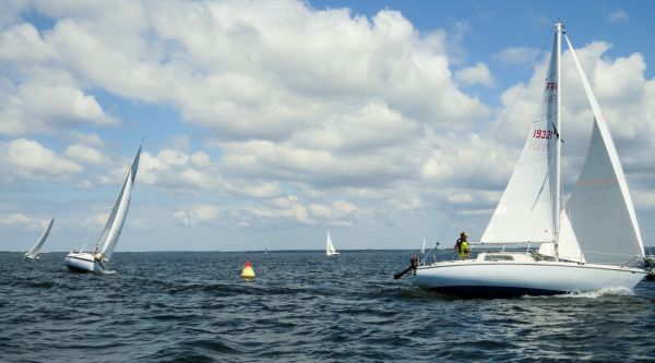 La solitaire - meltis – photo 137