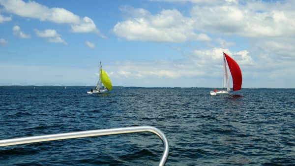 La solitaire - meltis – photo 101