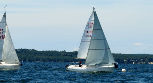 La solitaire - meltis – photo 122
