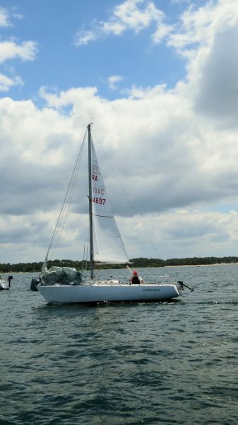 La solitaire - meltis – photo 80