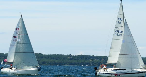 La solitaire - meltis – photo 121