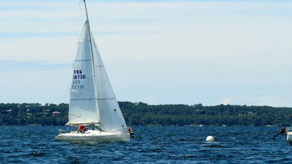 La solitaire - meltis – photo 119