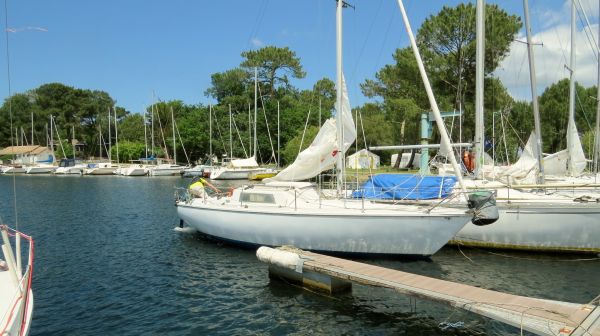 La solitaire - meltis – photo 41