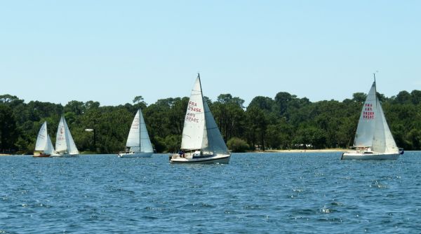 La solitaire - meltis – photo 86