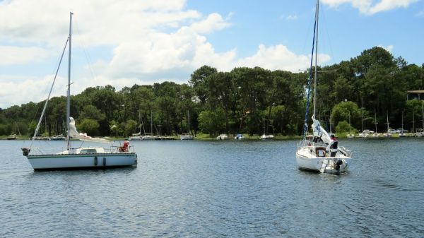 La solitaire - meltis – photo 39