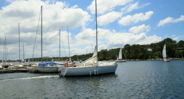 La solitaire - meltis – photo 47