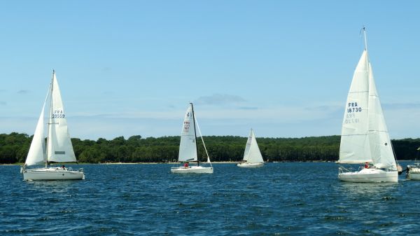 La solitaire - meltis – photo 73