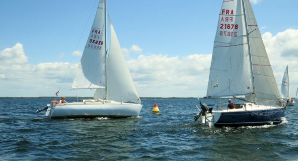 La solitaire - meltis – photo 148