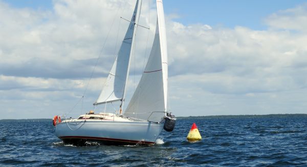 La solitaire - meltis – photo 144