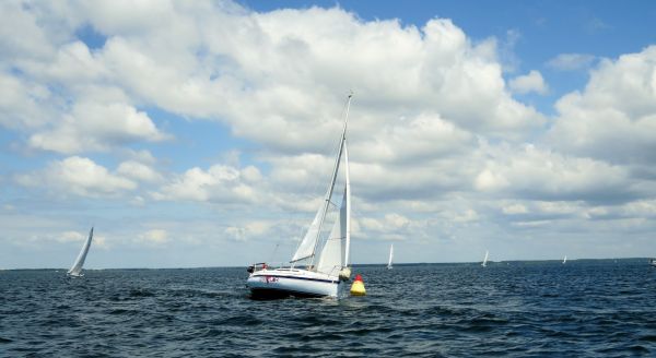 La solitaire - meltis – photo 138