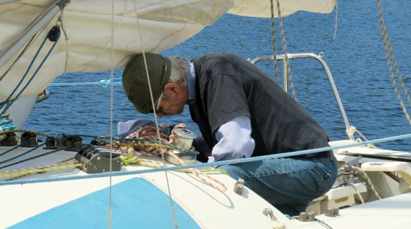 La solitaire - meltis – photo 15