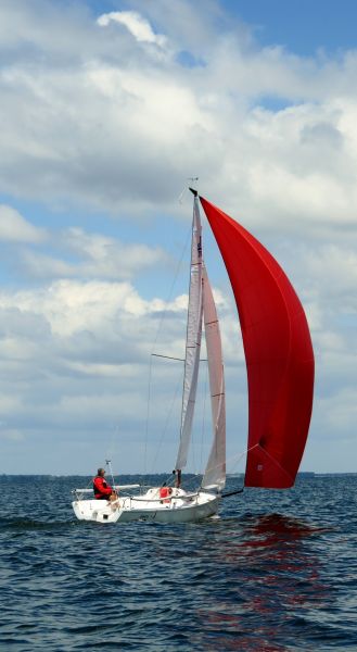 La solitaire - meltis – photo 102