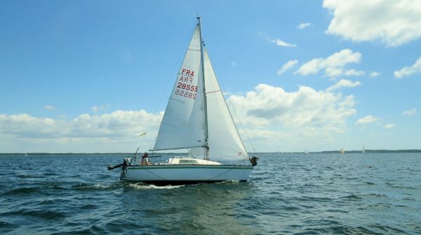 La solitaire - meltis – photo 149