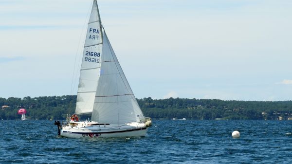 La solitaire - meltis – photo 120