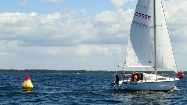 La solitaire - meltis – photo 146