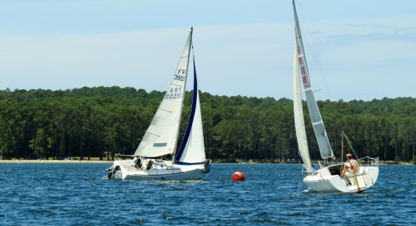 La solitaire - meltis – photo 89