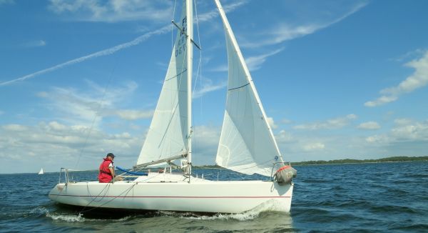 La solitaire - meltis – photo 176