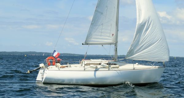 La solitaire - meltis – photo 164