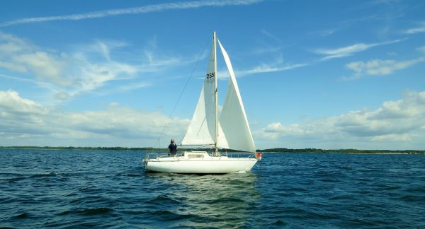 La solitaire - meltis – photo 182