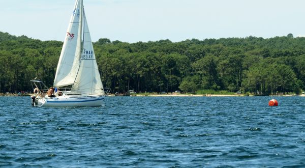 La solitaire - meltis – photo 100