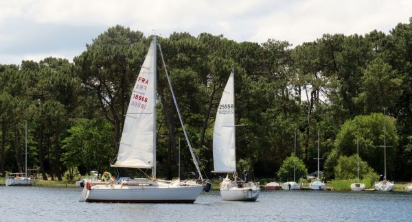 La solitaire - meltis – photo 49