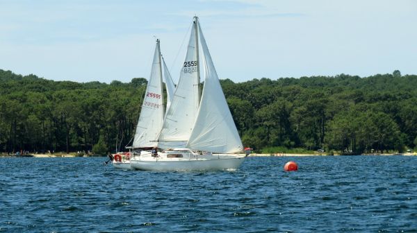 La solitaire - meltis – photo 97