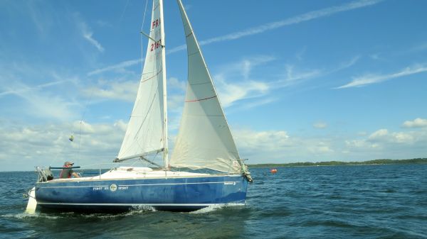 La solitaire - meltis – photo 186