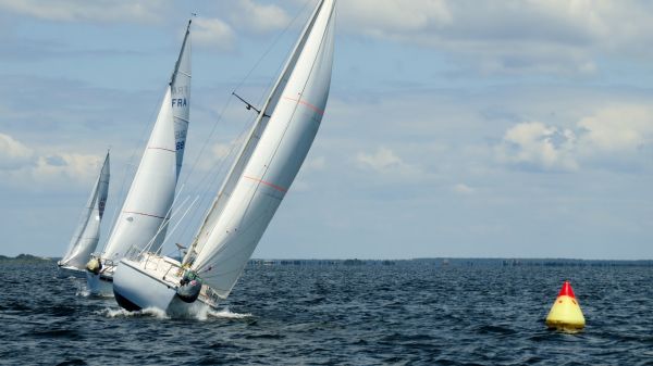 La solitaire - meltis – photo 136