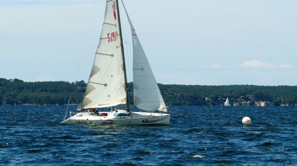 La solitaire - meltis – photo 113