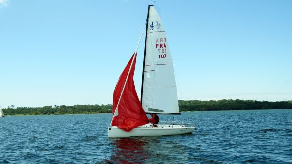 La solitaire - meltis – photo 82