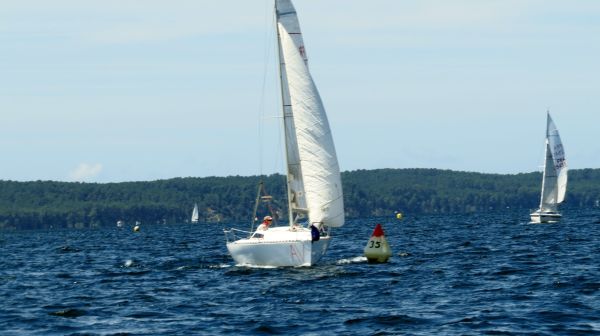 La solitaire - meltis – photo 156