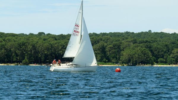 La solitaire - meltis – photo 98