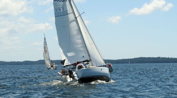 La solitaire - meltis – photo 141