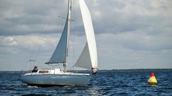 La solitaire - meltis – photo 142