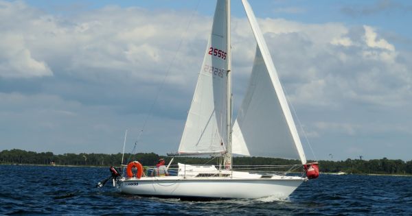 La solitaire - meltis – photo 188