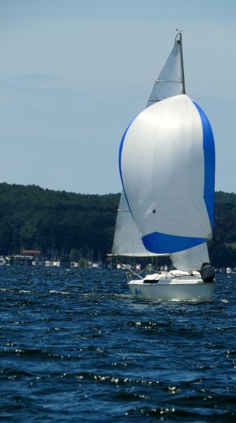 La solitaire - meltis – photo 108