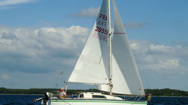 La solitaire - meltis – photo 189