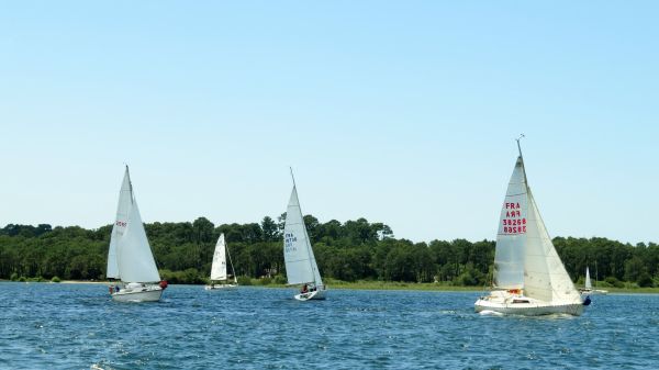 La solitaire - meltis – photo 67