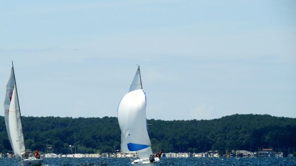 La solitaire - meltis – photo 107